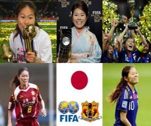 Puzzle Ποδοσφαίρου γυναικών παγκόσμιου παίκτη του νικητής για το έτος 2011 Homare Sawa